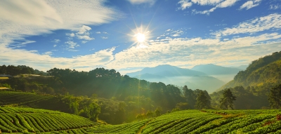 Evangelical Environmental Declaration Seeks Consensus on Controversial Views