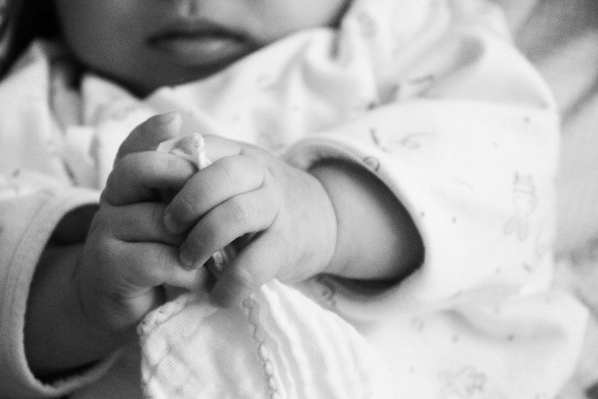 Evangelical Environmentalists Undermine Pro-Life Movement, Again
