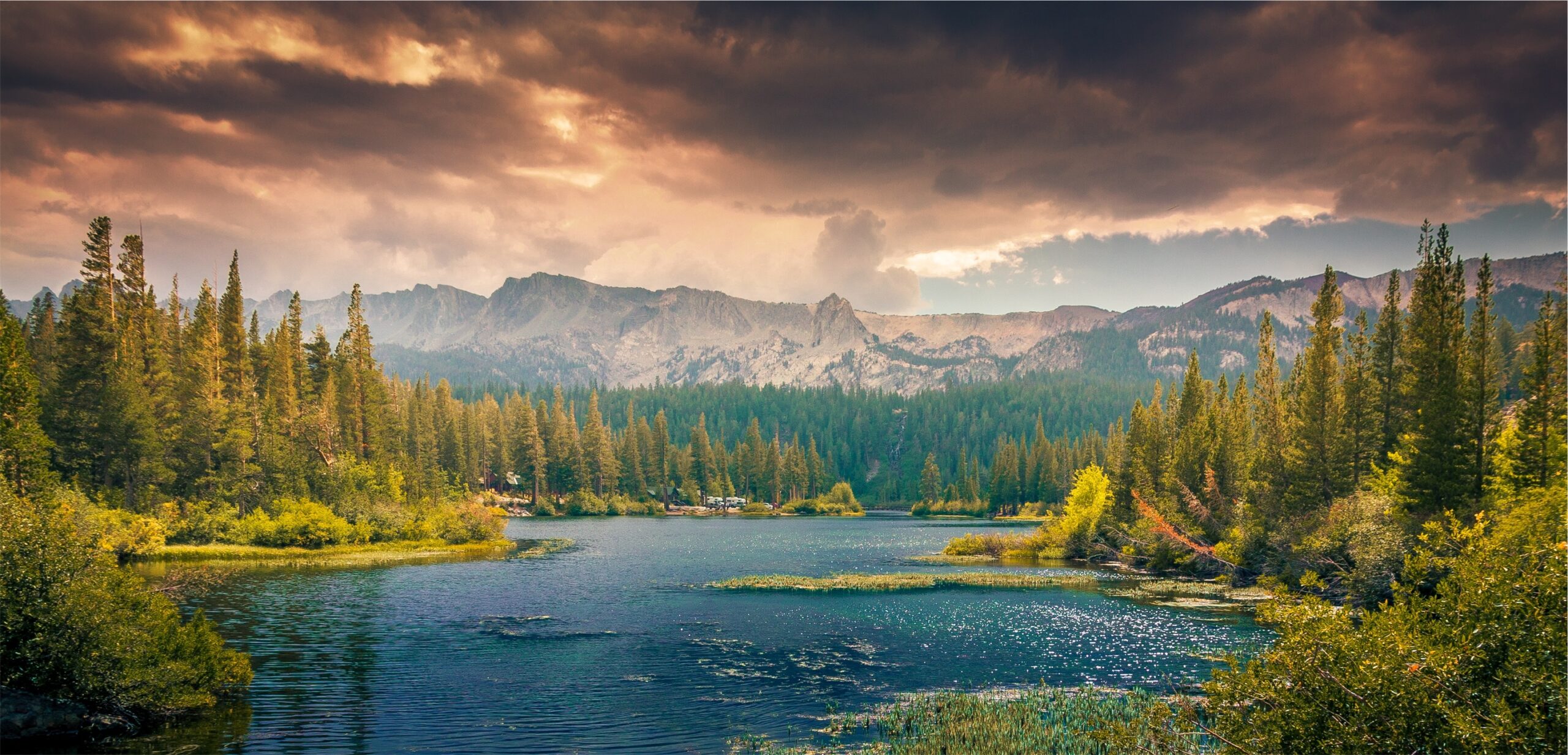 To Divest or Not to Divest—That is the Question