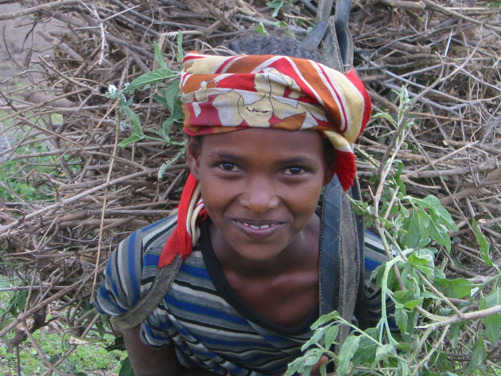 We Pray for Energy Sources in Ethiopia