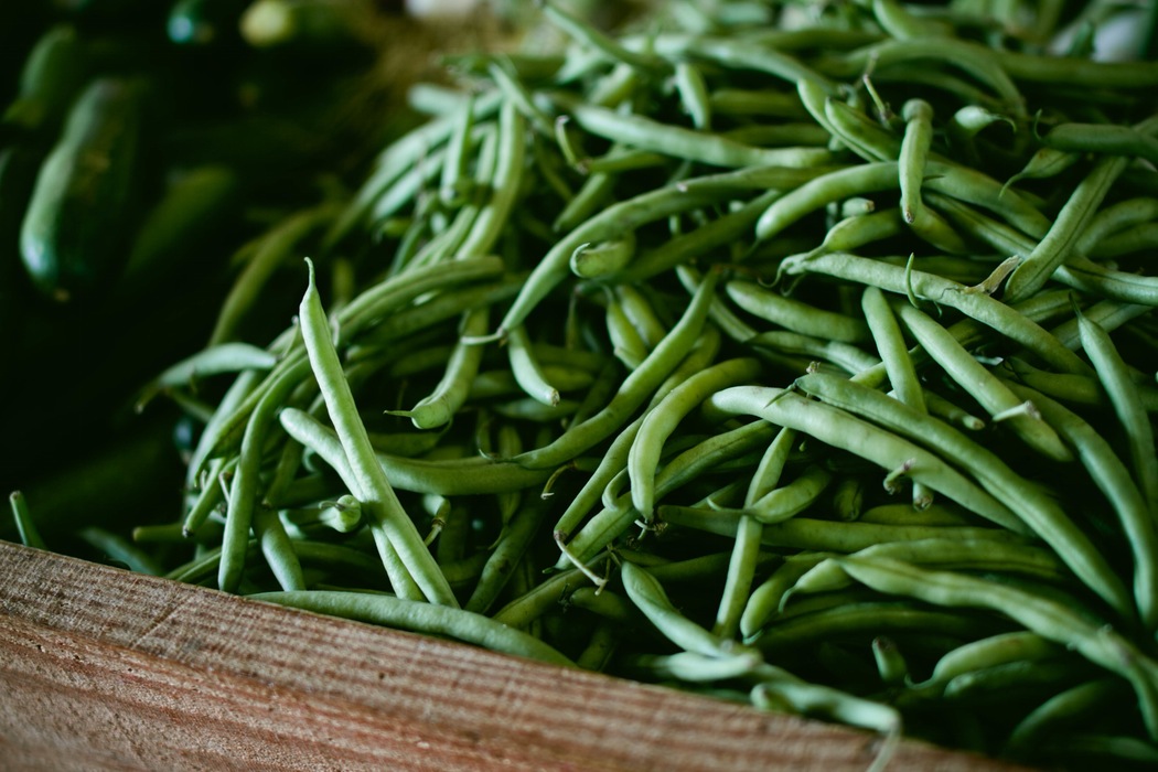 A Hymn of Praise for God’s Provision of Food through Agriculture: