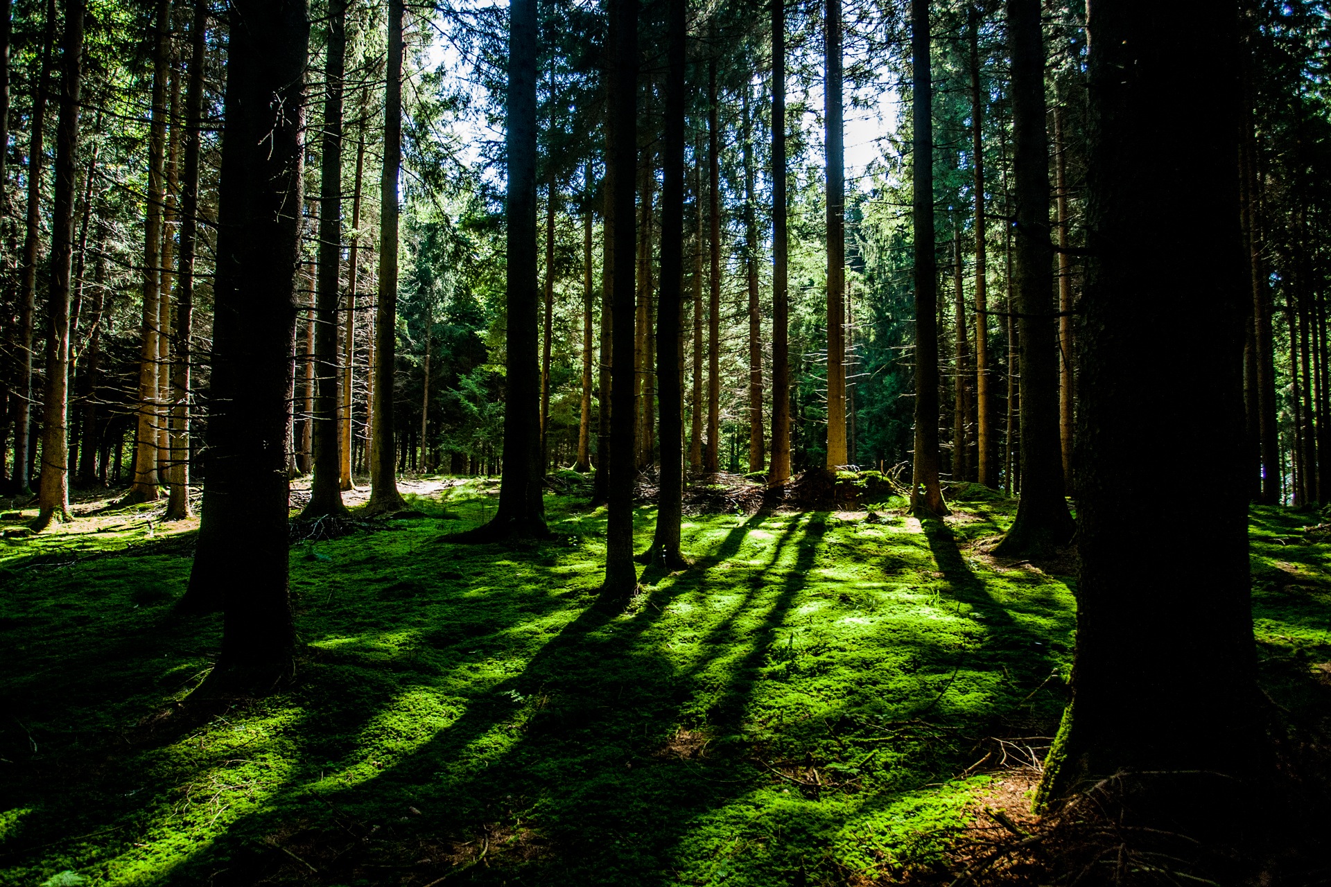 Cornwall Alliance Guide to Prayer for the Environment and the Poor