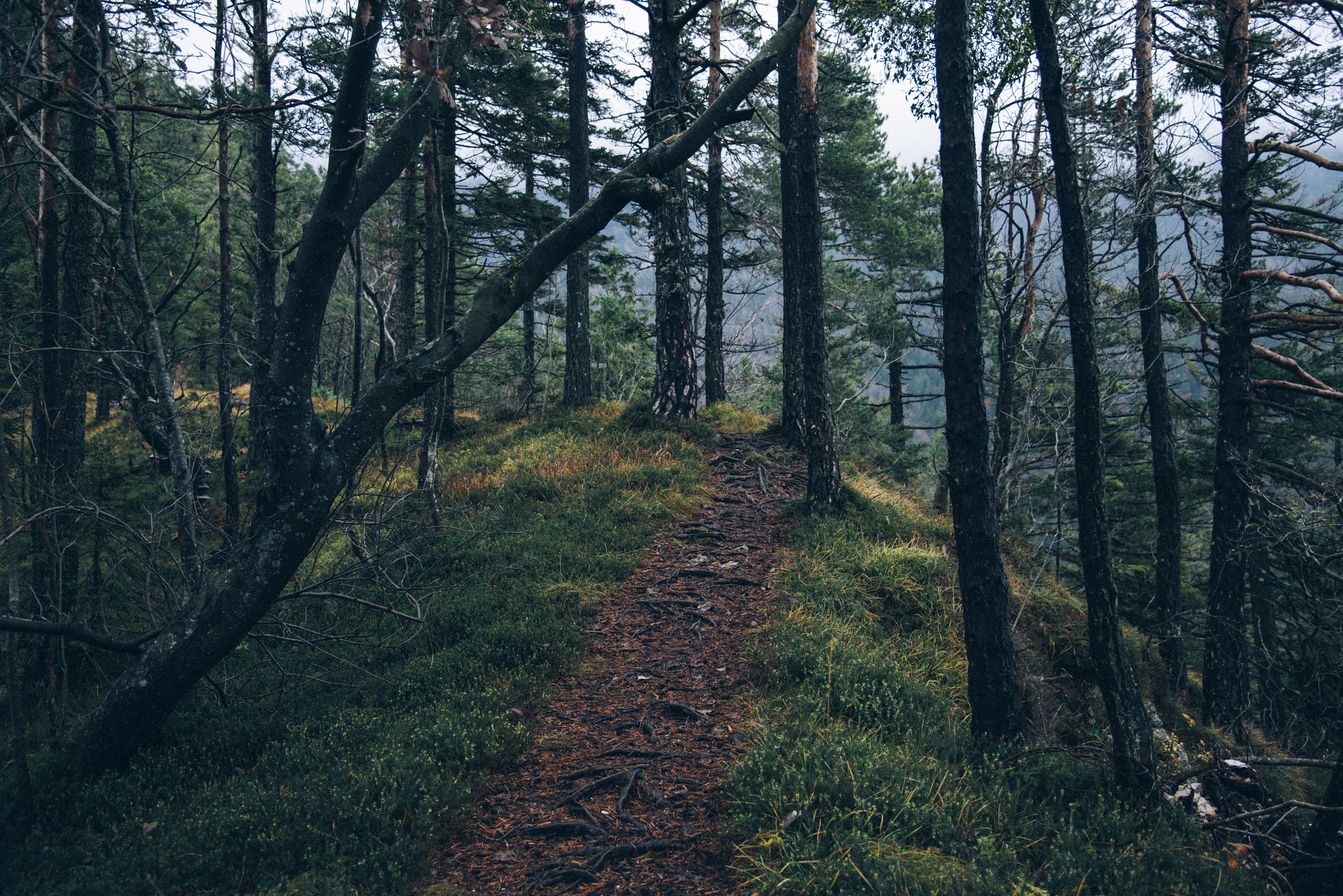 We Seek to Spend Quiet Time in Your Presence