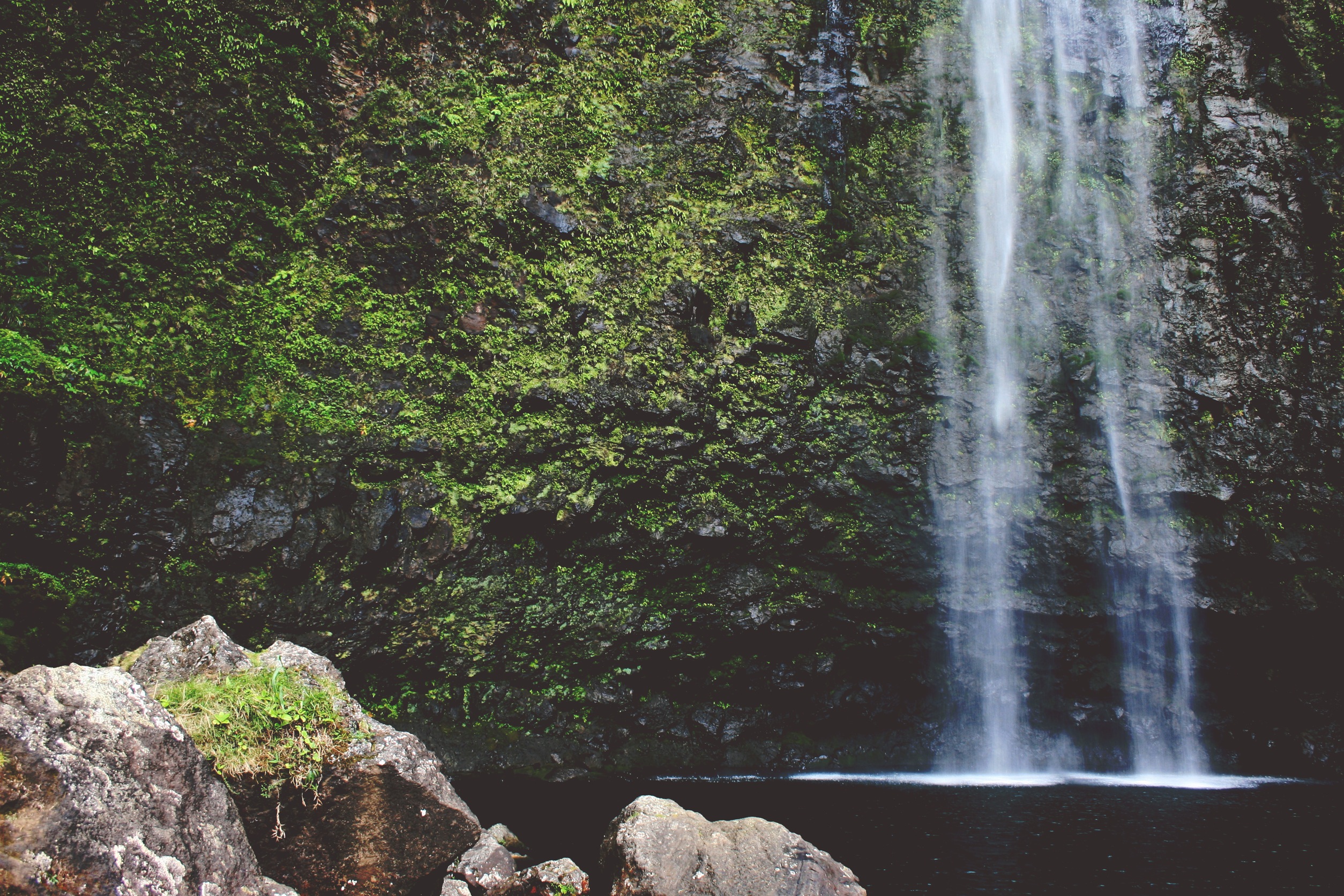 We are Grateful for this Beautiful World