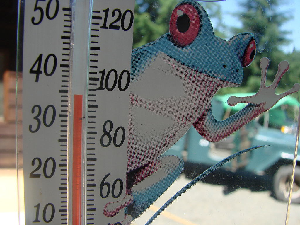 A Mere Couple of Degrees, a Mere Single Thermometer–and a Matter of Integrity