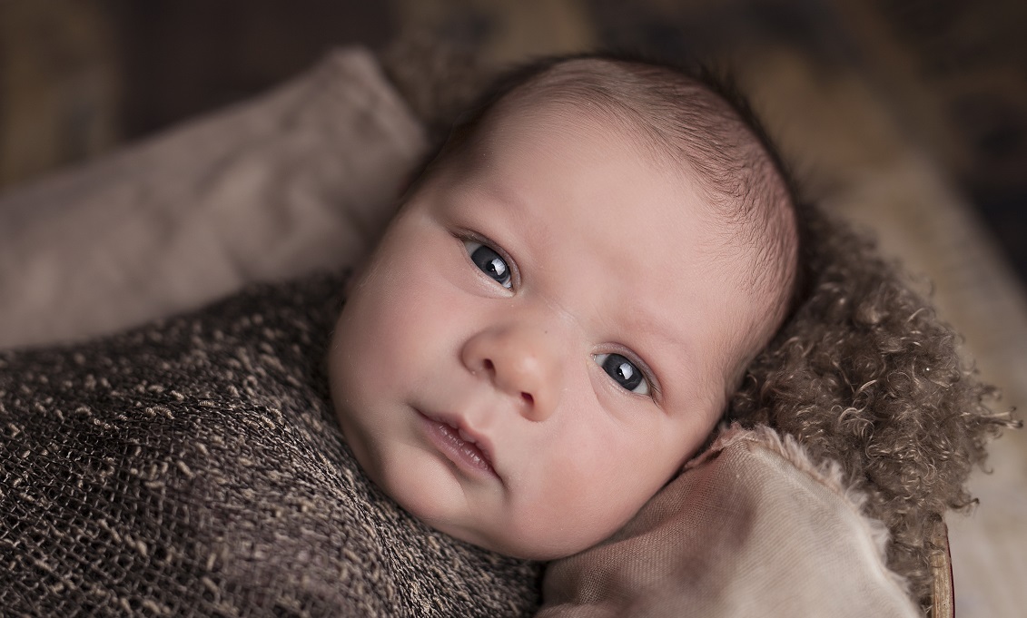 Pollution and the Death of Babies: How ‘Green’ Evangelicals Imperil the Pro-Life Movement