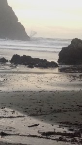 Whaleshead Beach, Oregon