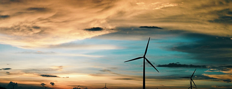 Vijay profile 2 cropped