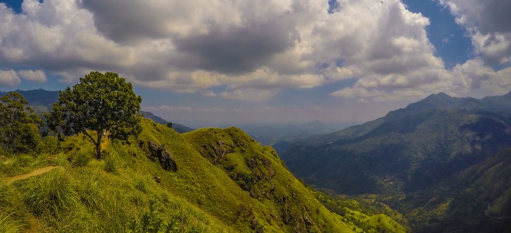 unsplash mountain and greenery cropped