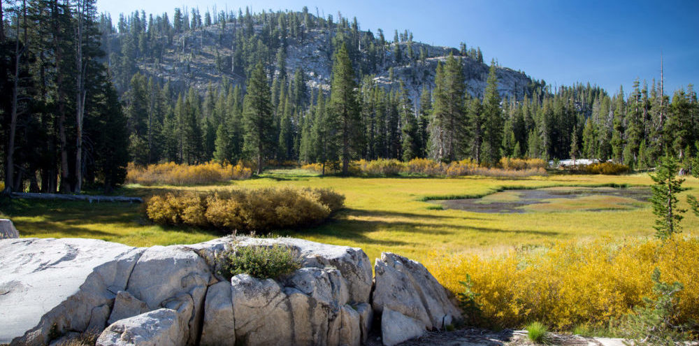 mountains trees unsplash