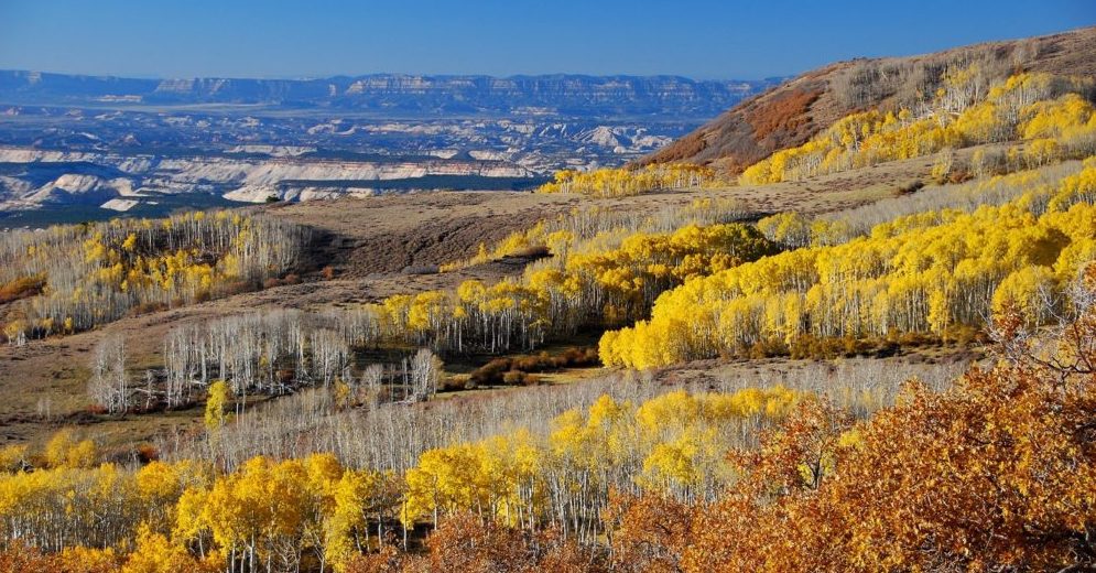 david-rutherford-for-blog