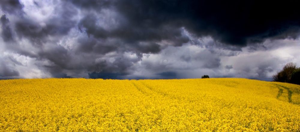 What Does A Weatherman Know About Settled Climate Science?