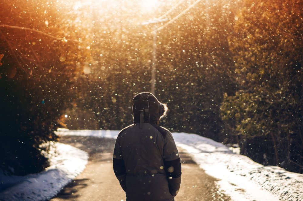 Shutdown, Snowfall, and the Deep Freeze: Truth in a World of Climate Lies