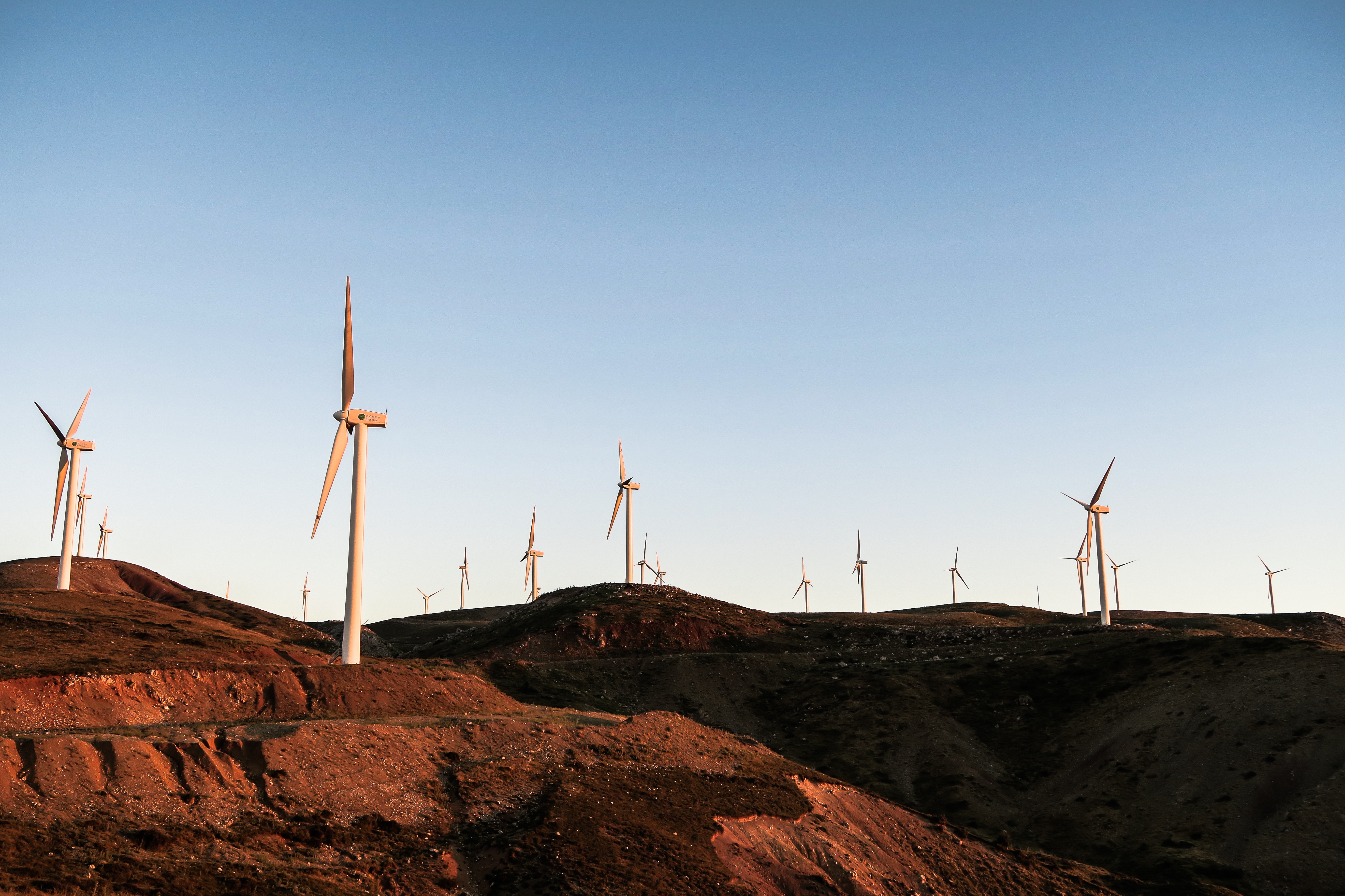 How the Wind Industry Gains by Losing