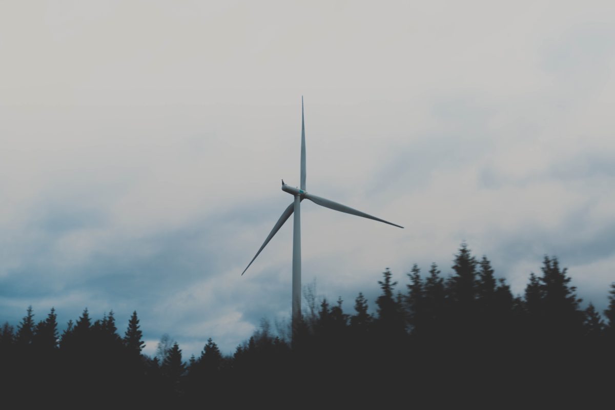 Is Germany the First Developed Nation Headed Towards Energy Suicide?