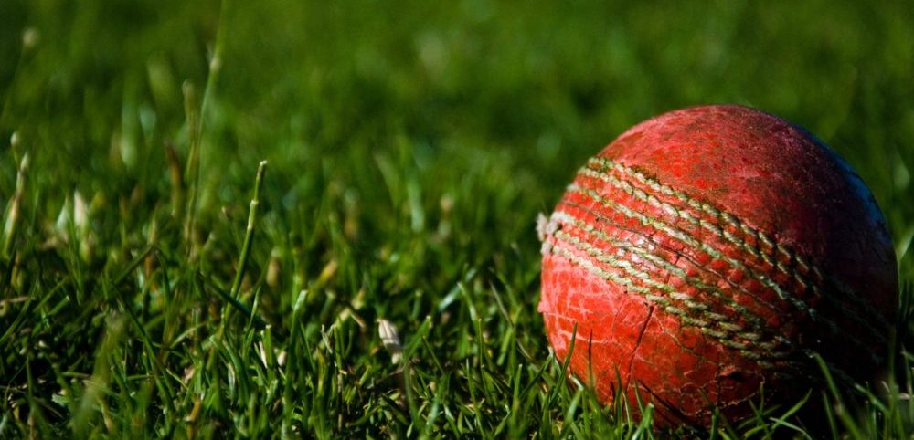 The Spectacular Cricket World Cup and The Climate Undertone