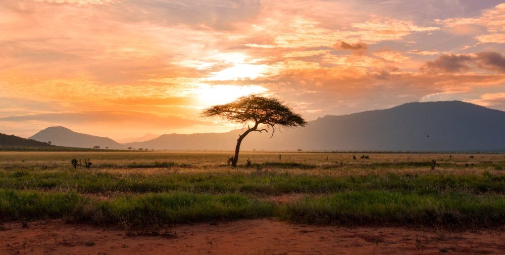 Reviving the Heart of the Earth: Energy Liberation in Africa