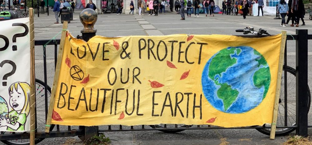 Green Is the New Black: But What Does ‘Going Green’ Really Mean?