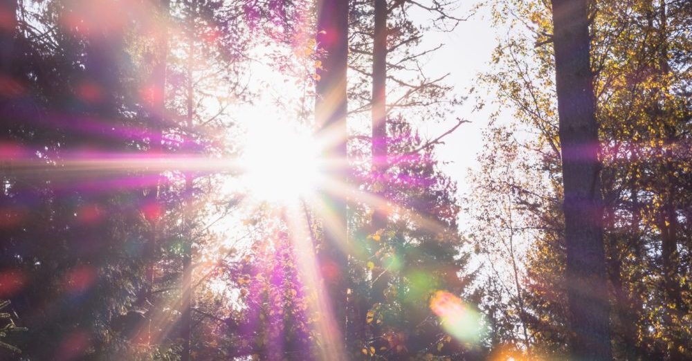 Solar Energy’s Surprising Sources