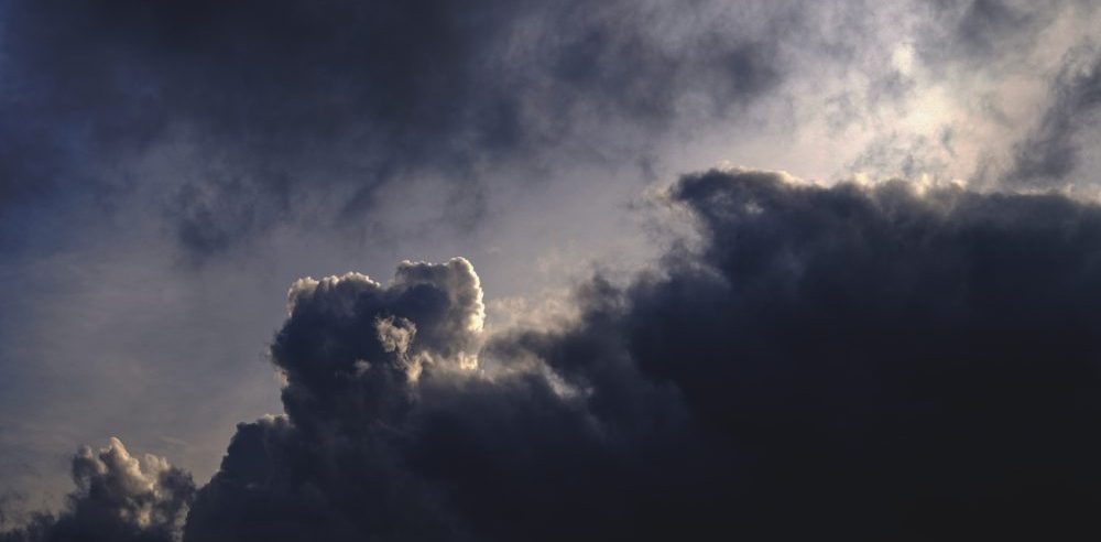 El Paso Shooter’s Extreme Environmentalism Deserves Condemnation