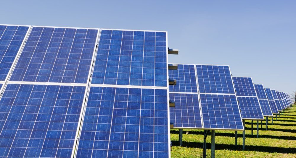 Renewable Failure and Renewable Threats to Wildlife Become a Global Norm