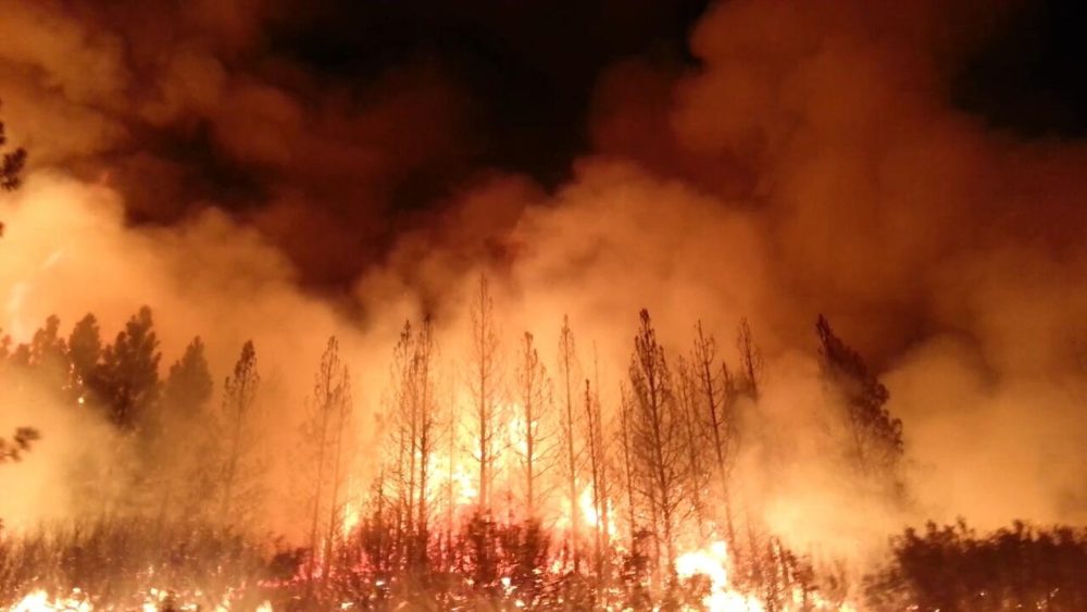 Alexandria Ocasio-Cortez Blames Global Warming for Wildfires