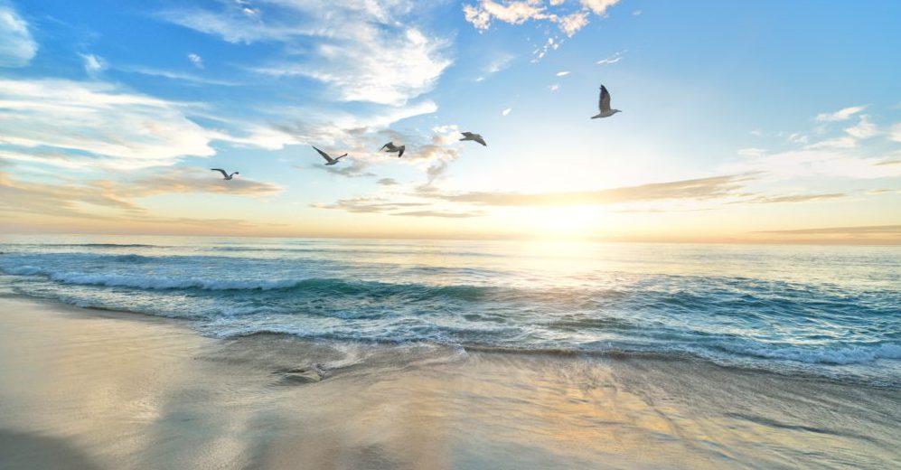 Rising sea level, higher storm surges, milder winters, oh my!
