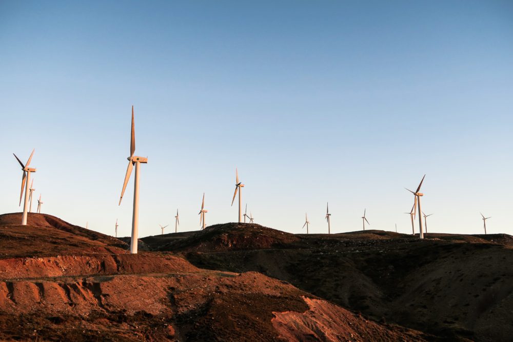 Principled Inaction in the Face of Climate Change Extremism