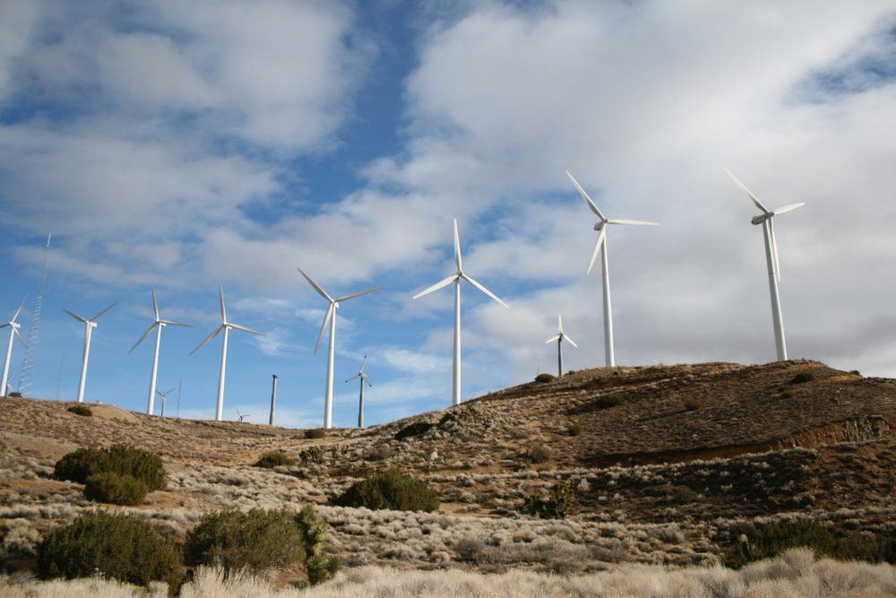 No Plan B for Planet A: Replacing fossil fuels with “renewable” energy would devastate the only planet we’ve got
