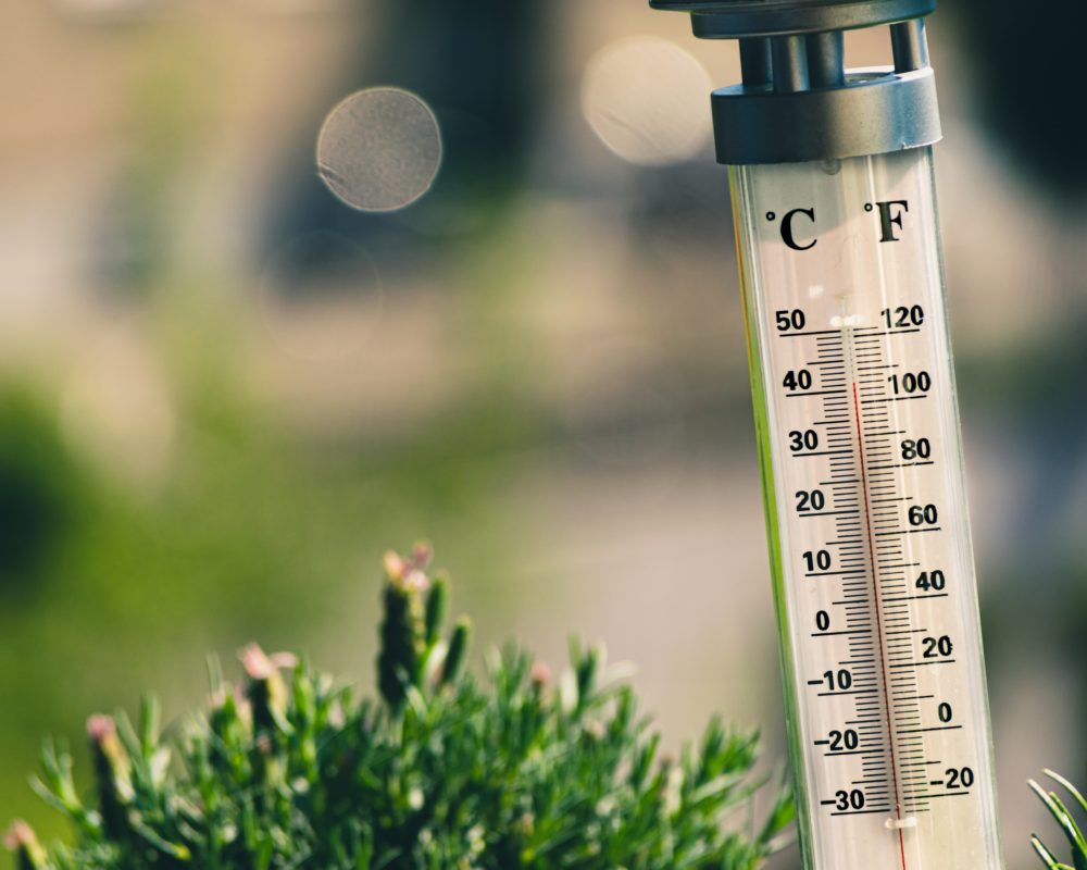 Record Heat and Cold Expose Climate Alarmists’ Bias