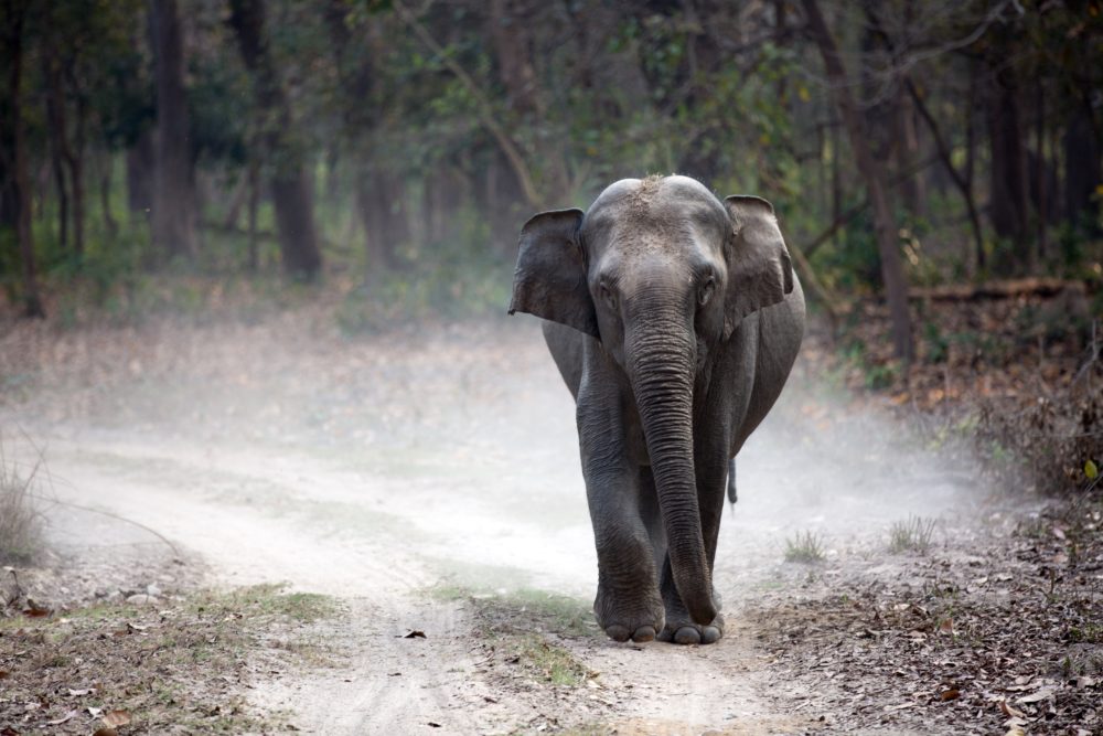 A Prayer for South Asia