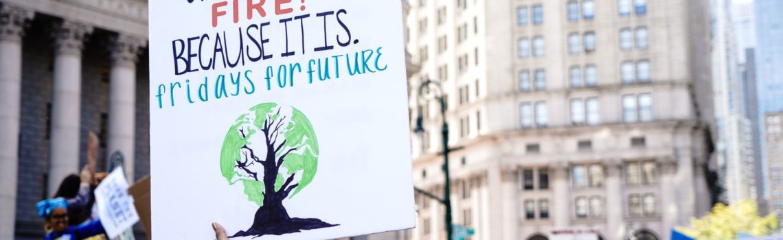 Climate Strike: Instilling Fear and Creating a Scientific Void