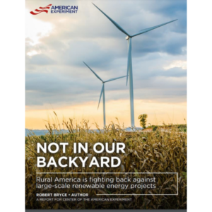 Not In My Backyard cover