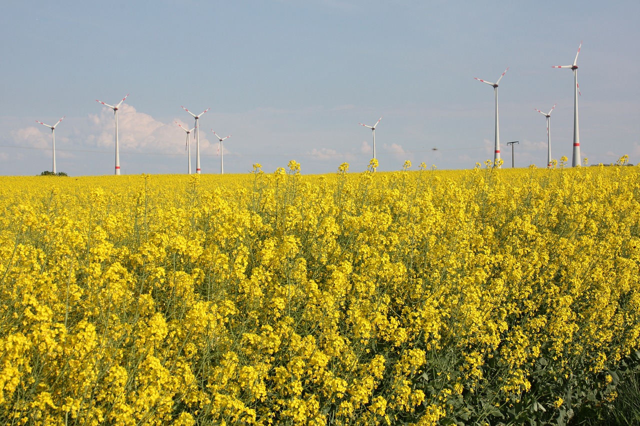 “Green” Media Misrepresents World’s Energy Reality