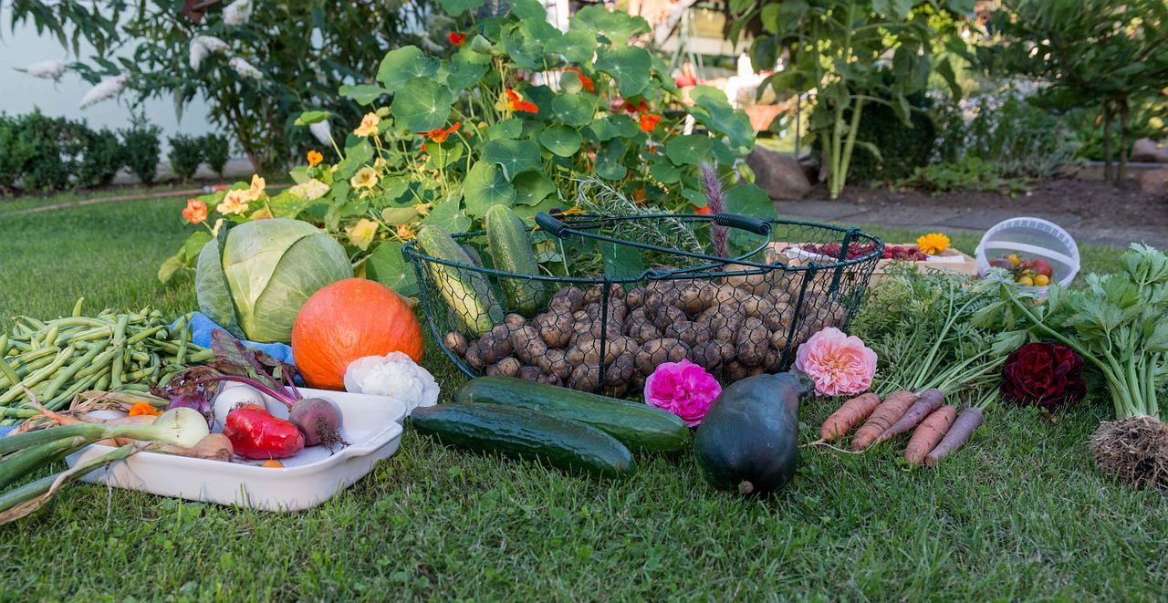 Cancel Mom’s Grocery Bag Misinformation