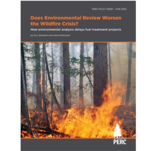 Does Environmental Review Worsen the Wildfire Crisis?