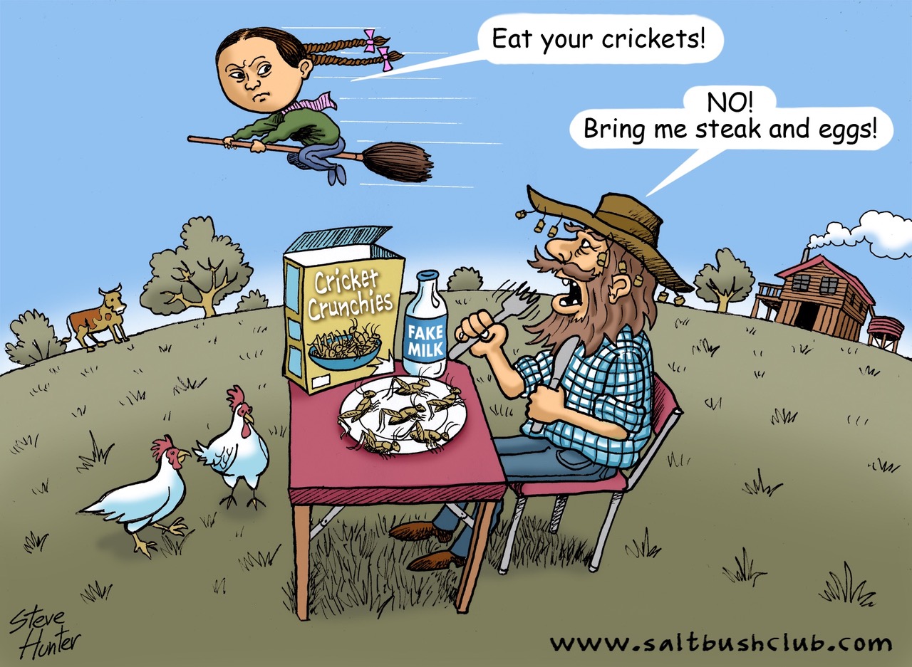 Let Them Eat Bugs