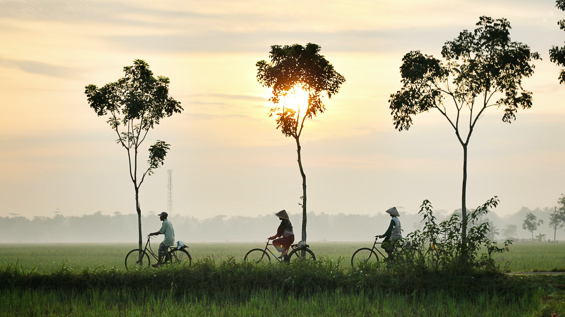 Indonesia Shelves Decarbonization for Prosperity and Security