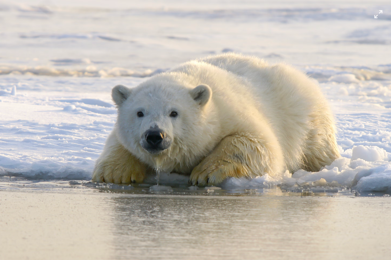Models Can’t Agree on Climate Sensitivity