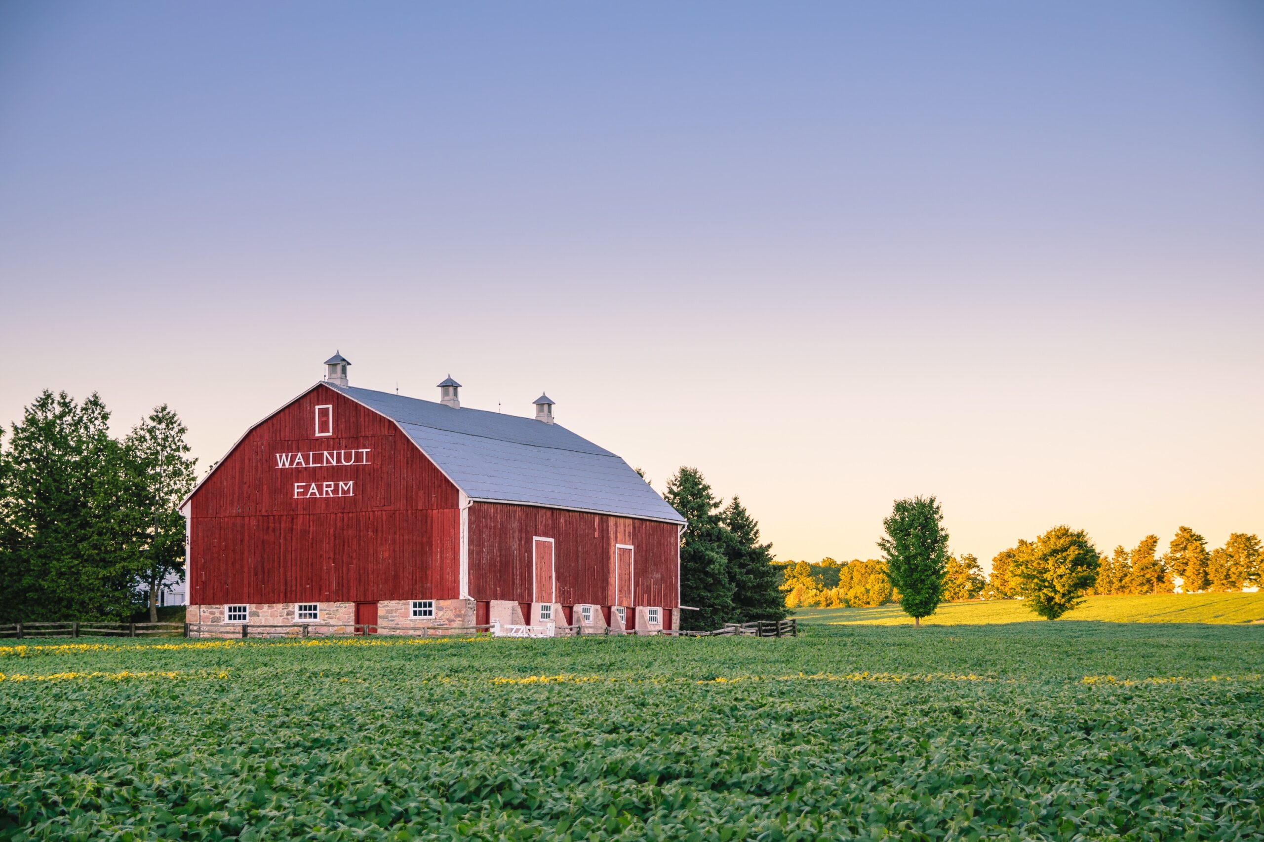 The “Green” Global Elites are Aiming for Total Food Control