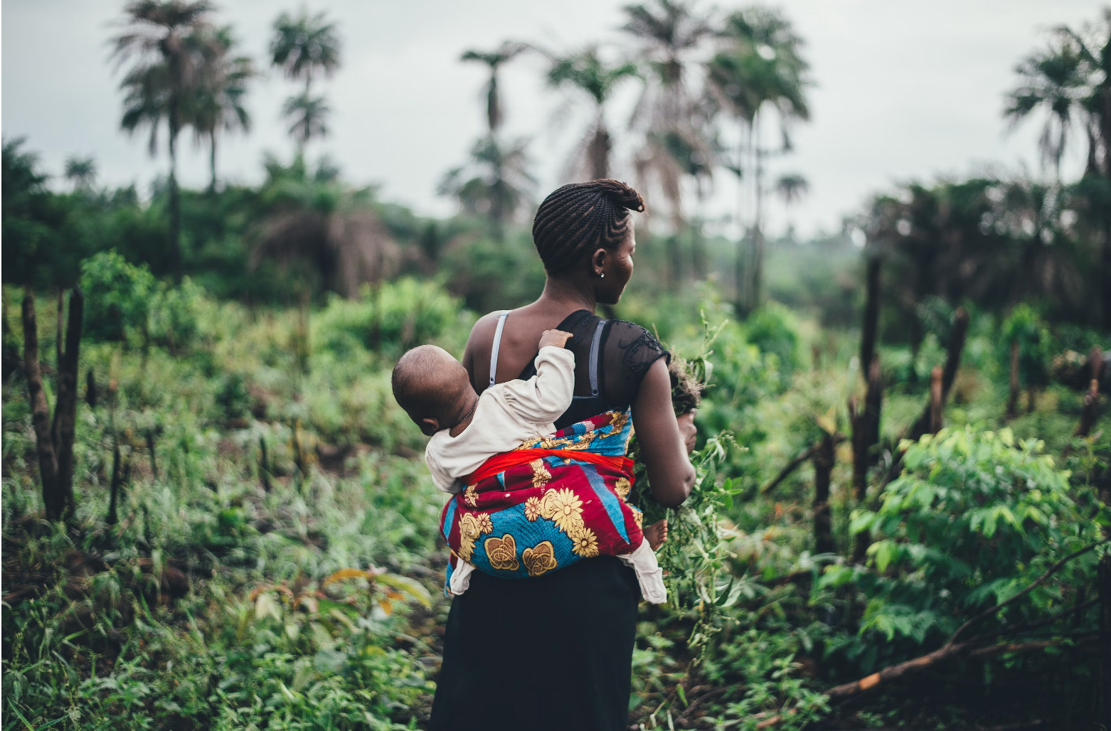 End Carbon Imperialists’ Impoverishment of Africa