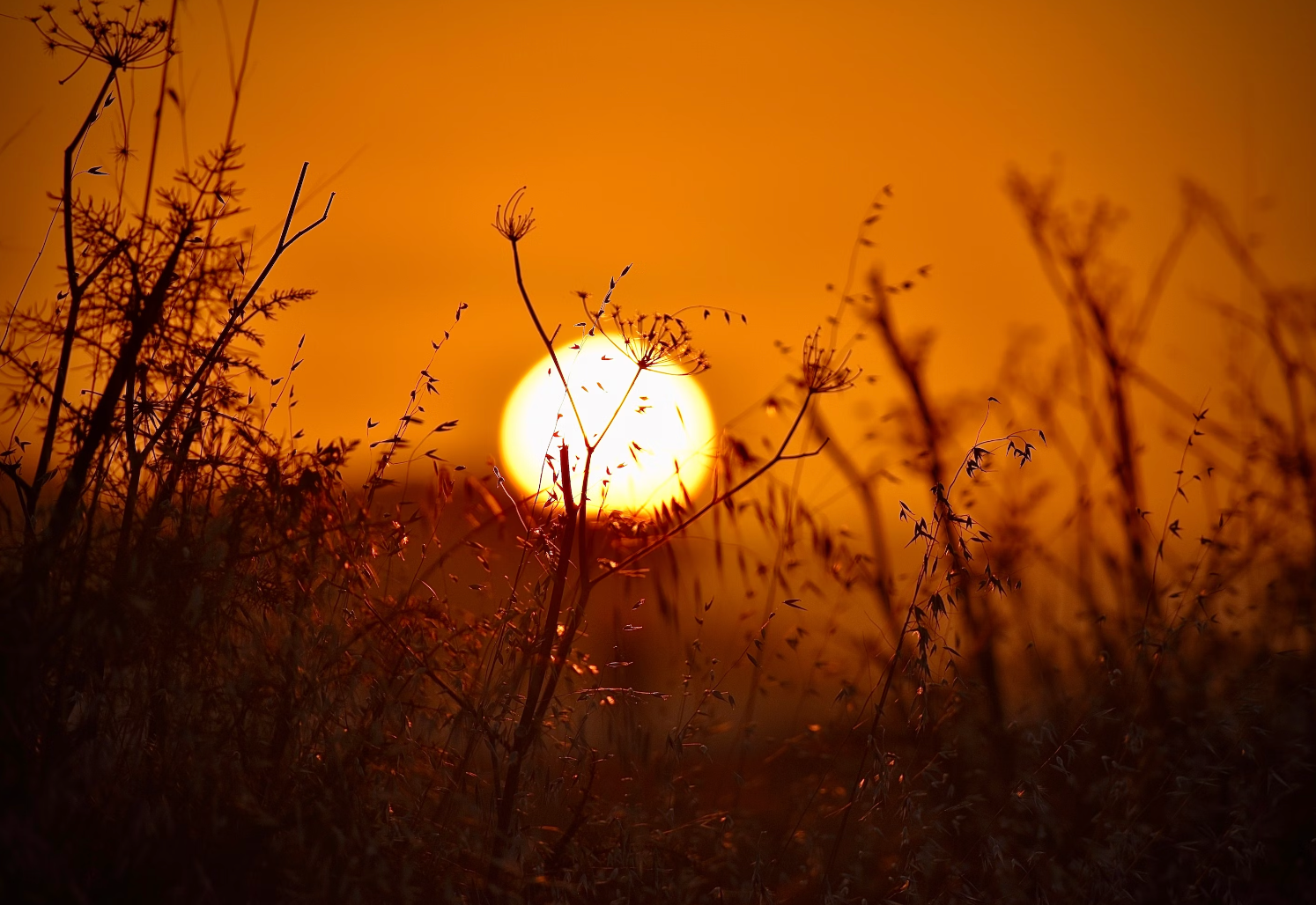 Has the Sun’s True Role in Global Warming Been Miscalculated?