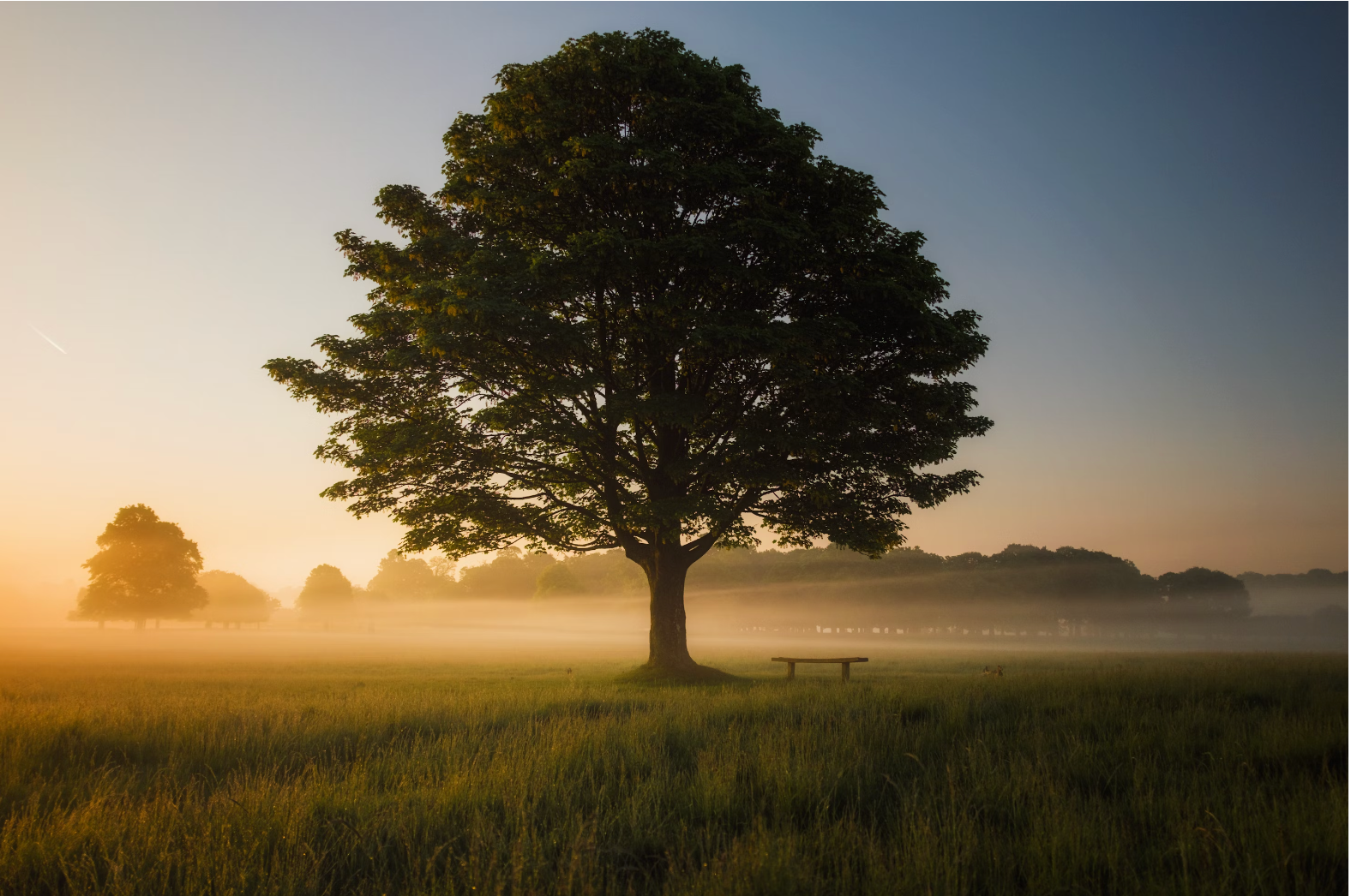 Assessing Local Legislation: Balancing Economy, Creation, and Community