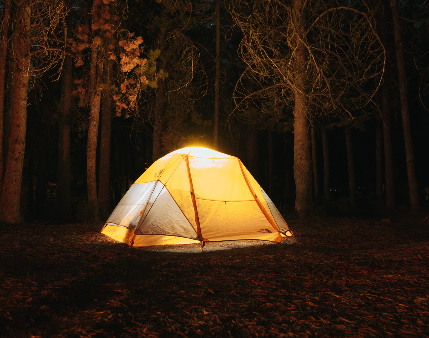 Florida Professor Planning ‘Encampment’ of a Different Sort