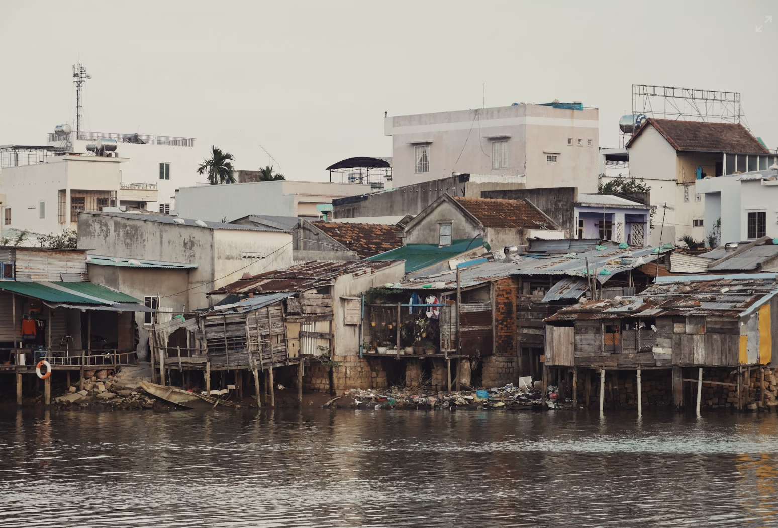 The Real Human Cost of “Green” Initiatives