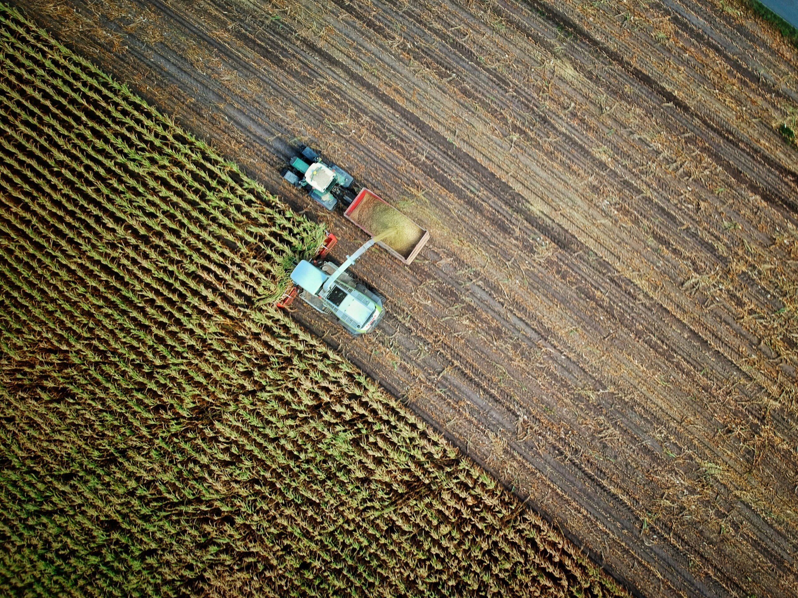 Waging War on Modern Agriculture and Global Nutrition