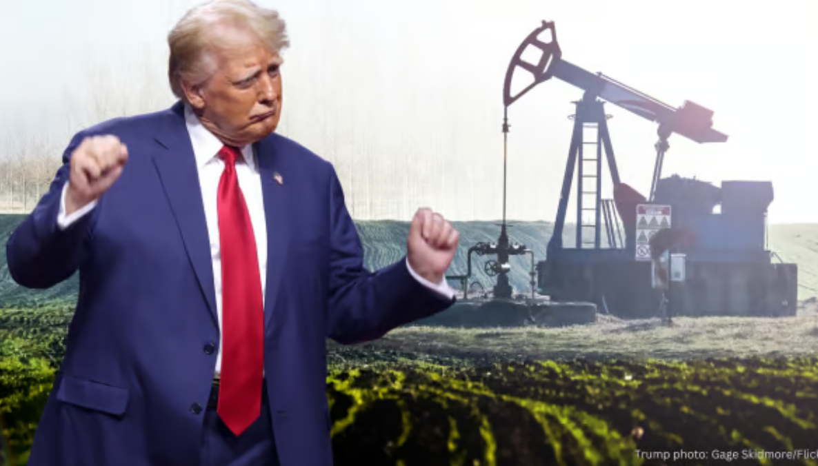 Some Suggestions on Climate and Environmental Policy for the New Sheriff in Town 