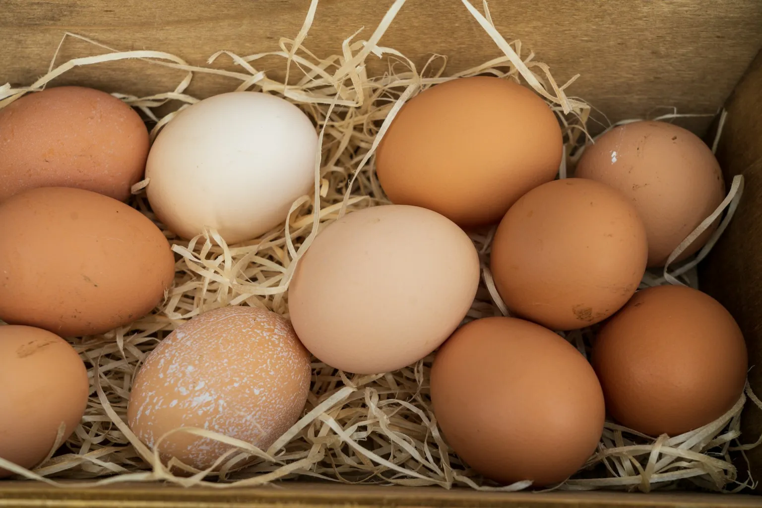 What Really Drove Skyrocketing Egg Prices?