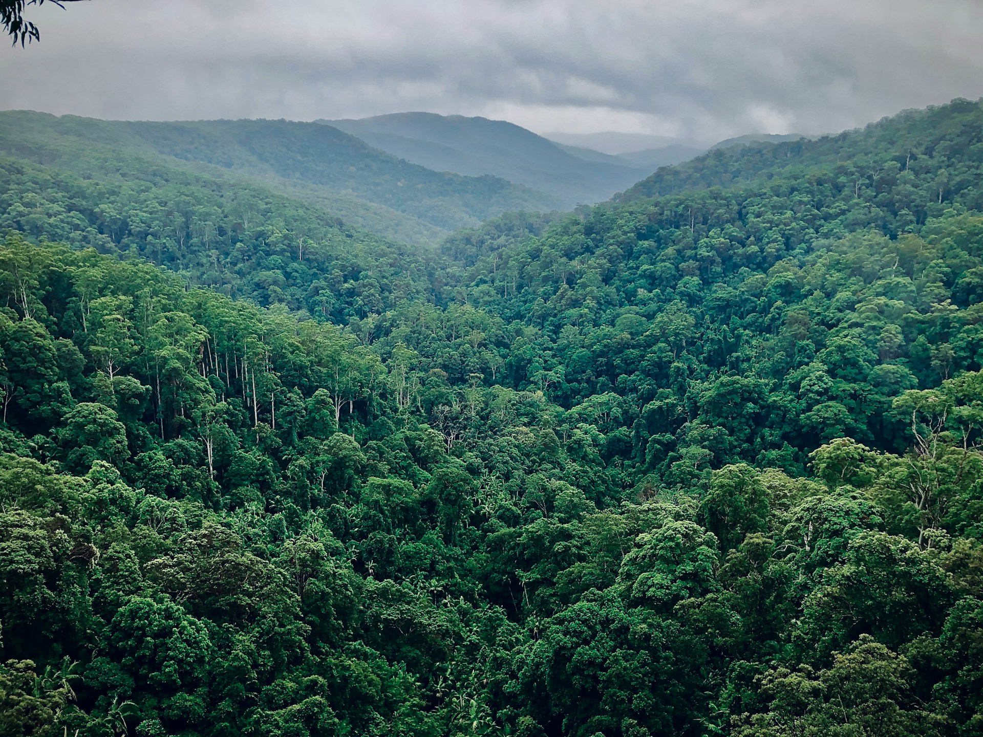 Physics Demonstrates That Increasing Greenhouse Gases Cannot Cause Dangerous Warming, Extreme Weather, or Any Harm