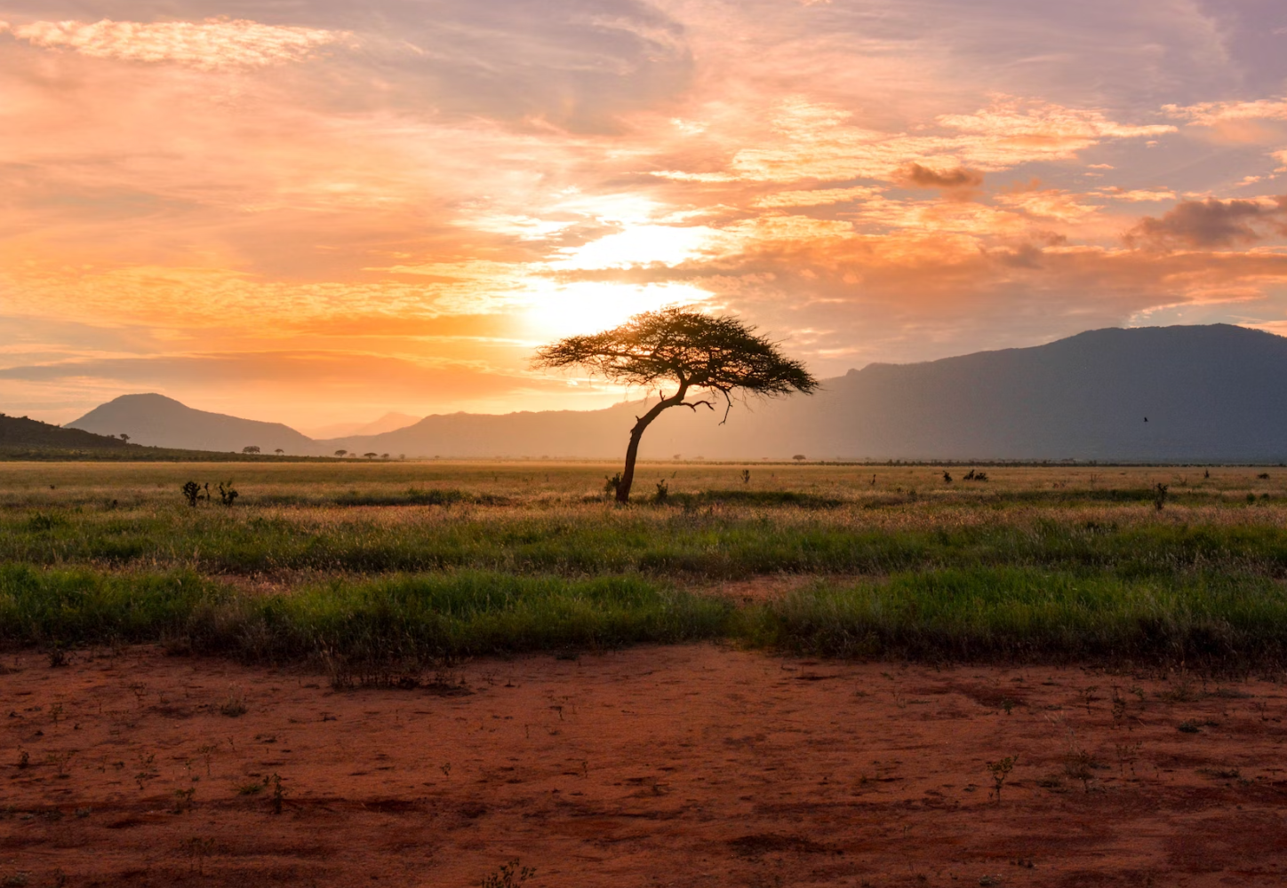 Trump’s approach to Africa: Just what the doctor ordered